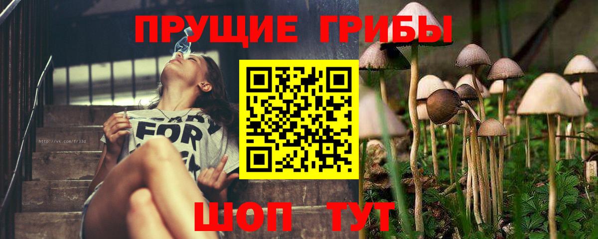 Псилоцибиновые грибы ЛСД  Вход с VPN  Псилоцибиновые грибы GOLDEN TEACHER  Кинешма 